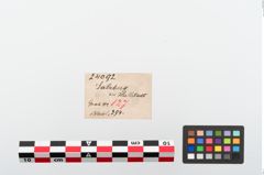 Etiketten zu Spinnwirtel (NHMW-PRAE-024092)